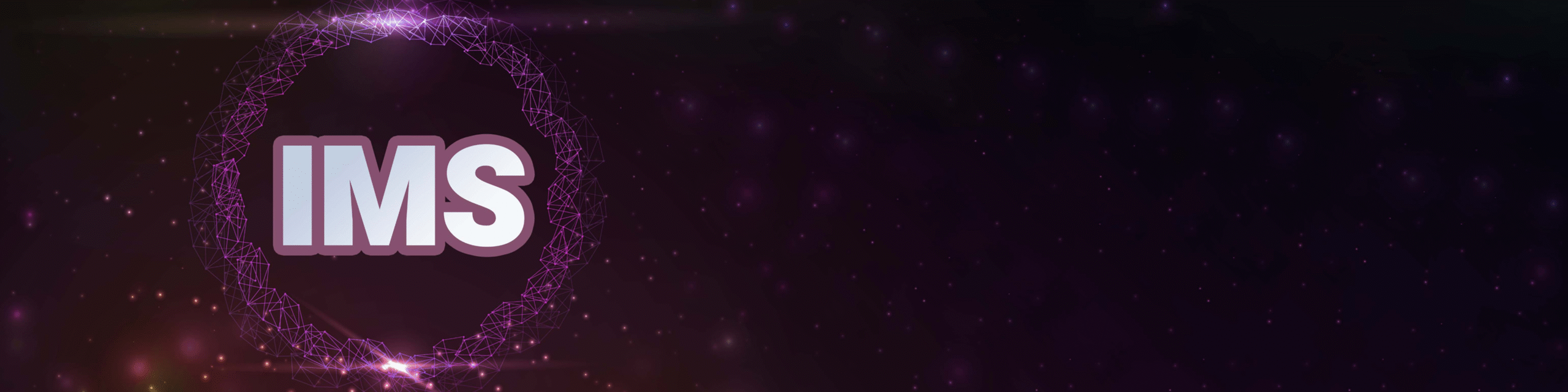 IP Multimedia Subsystem